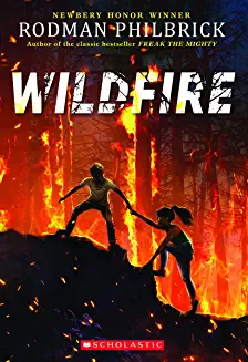 Wildfire : a novel