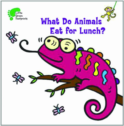 What do animals eat for lunch