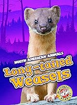 Long-tailed weasels