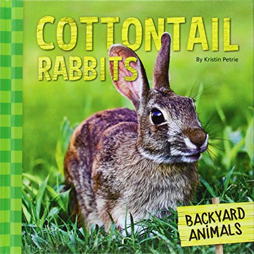 Backyard Animals: Cottontail rabbits