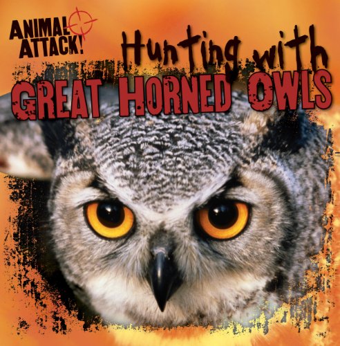 Hunting with great horned owls
