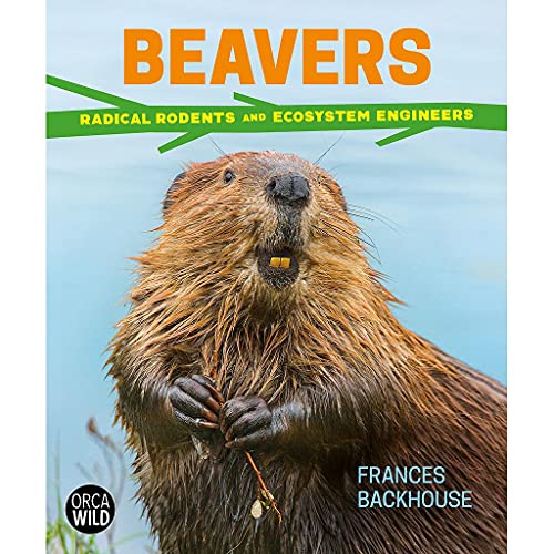 Beavers : Radical Rodents and Ecosystem Engineers
