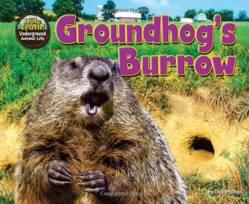 Groundhog's burrow