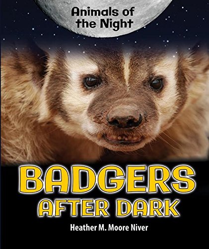 Badgers After Dark