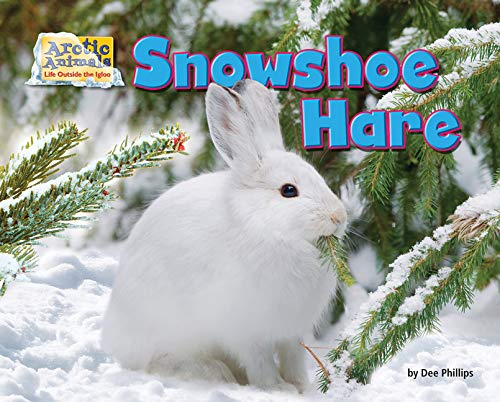 Snowshoe hare