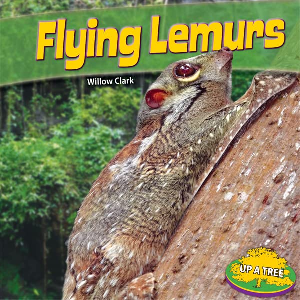 Flying lemurs