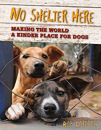 No shelter here-- making the world a kin
