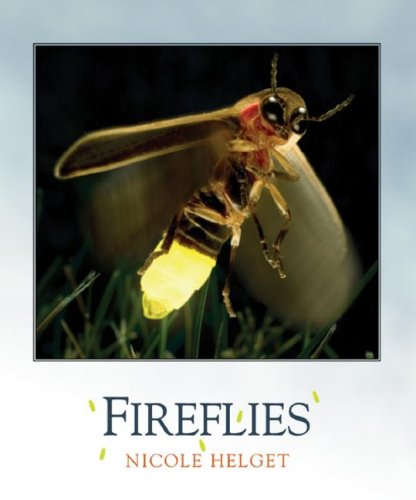 Fireflies