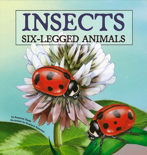 Insects-- six-legged animals
