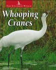 Whooping cranes