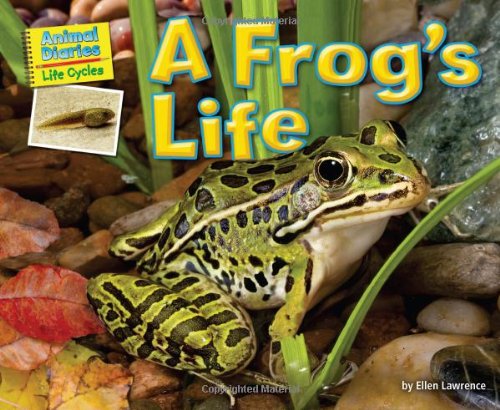 A frog's life