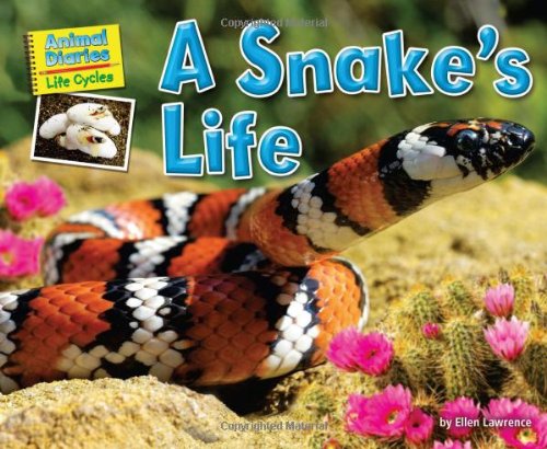 A snake's life