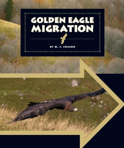 Golden eagle migration
