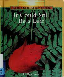 It could still be a leaf