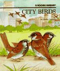 City birds