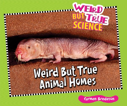 Weird but true animal homes