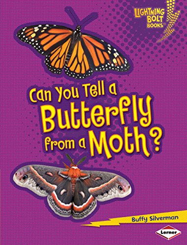 Can you tell a butterfly from a moth?