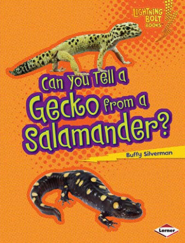 Can you tell a gecko from a salamander?