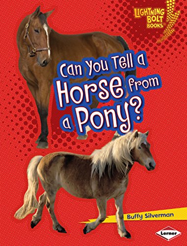 Can you tell a horse from a pony?