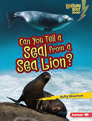 Can you tell a seal from a sea lion?