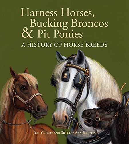 Harness horses, bucking broncos & pit po