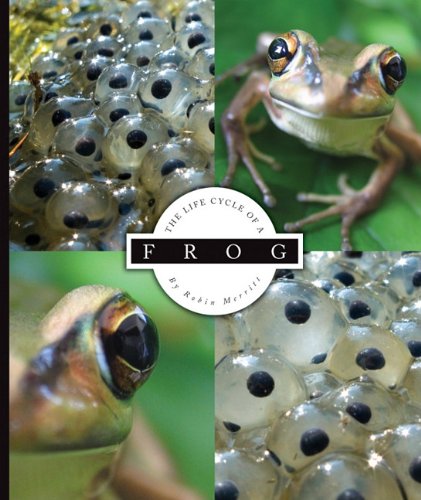 The life cycle of a frog