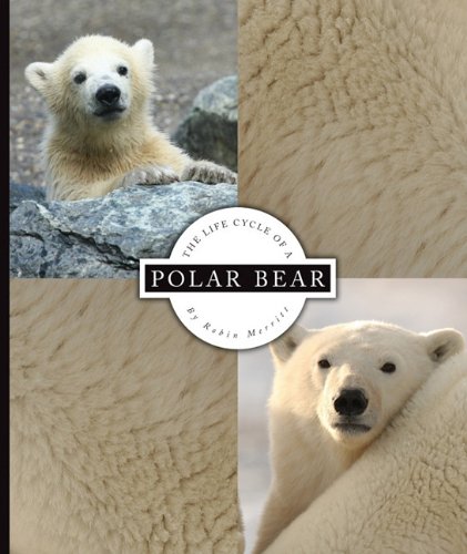 The life cycle of a polar bear