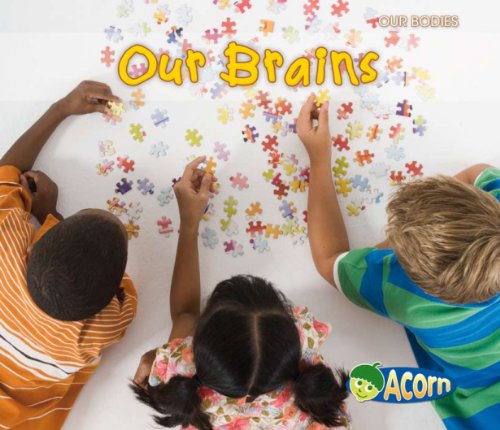 Our Brains
