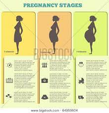 Pregnancy posters