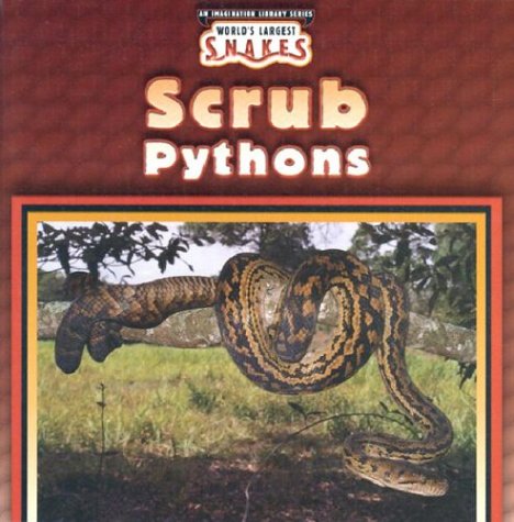 Scrub pythons
