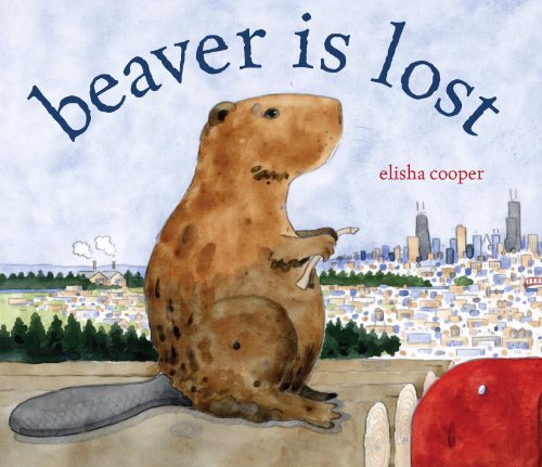 Beaver is lost