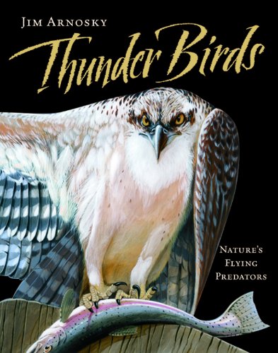 Thunder birds-- nature's flying predator