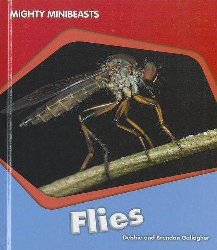 Flies