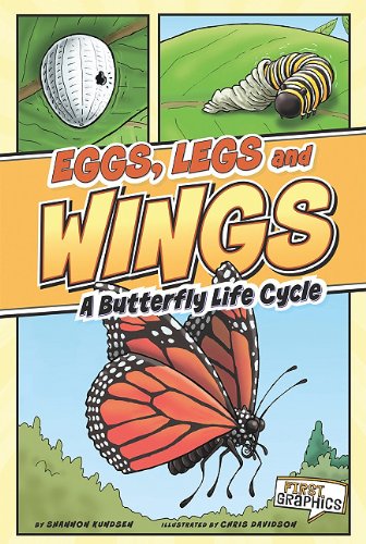Eggs, legs, wings-- a butterfly life cyc