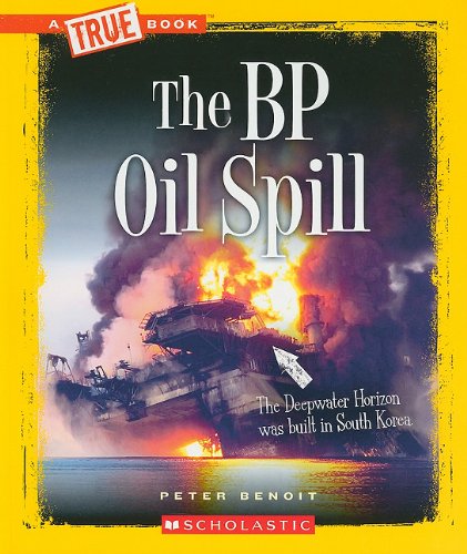 The BP oil spill