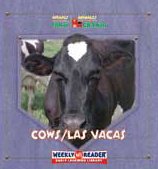 Cows - las vacas