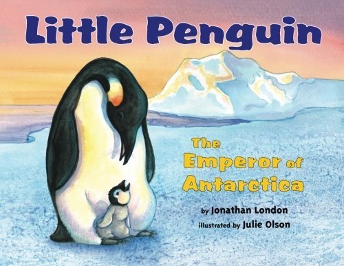 Little penguin-- the Emperor of Antarcti