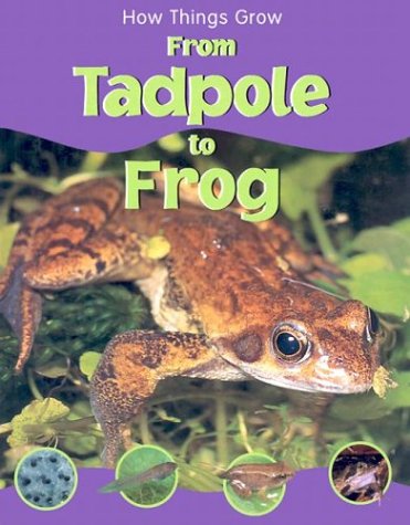 From tadpole to frog