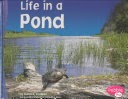 Life in a pond