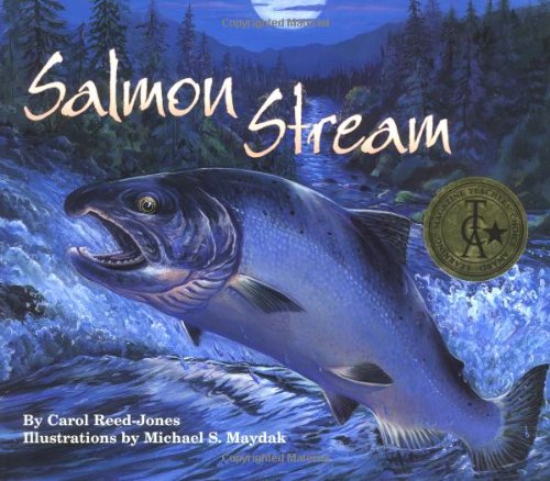 Salmon stream