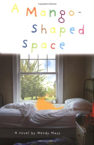 A mango-shaped space : a novel