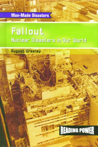 Fallout  : nuclear disasters in our world