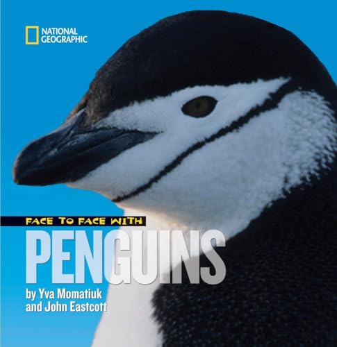 Face to face with penguins