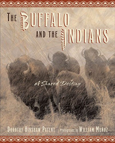 The buffalo and the Indians  : a shared destiny