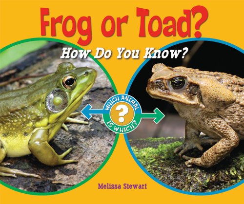 Frog or toad : how do you know?