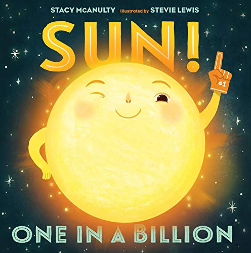 Sun : one in a billion