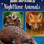 Unique adaptations of nighttime animals