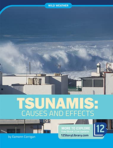 Tsunamis : causes and effects