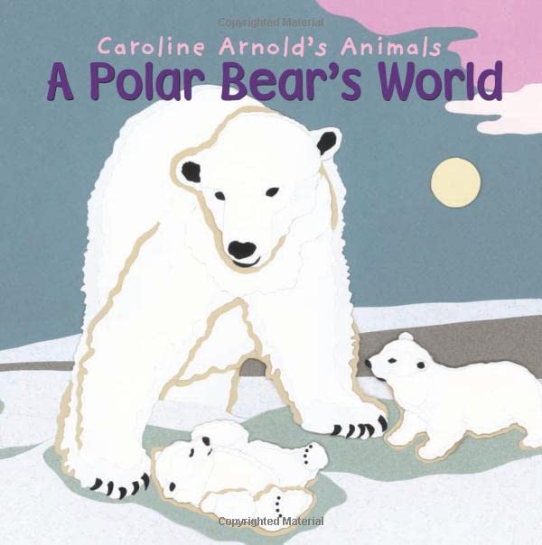 A polar bear's world