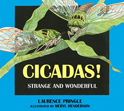 Cicadas!-- strange and wonderful